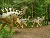 dinozaurų žinduolių priešistoriniai gyvūnai ledo amžiaus laboratoriniai modeliai 04