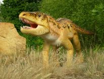 dinozaurų žinduolių priešistoriniai gyvūnai ledo amžiaus laboratoriniai modeliai 24